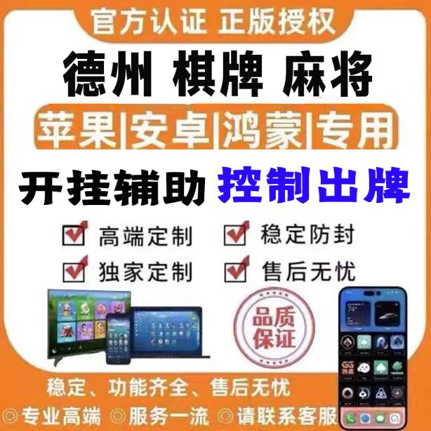 分析实测“集安麻将能不能开挂”(原来确实是有插件) p3